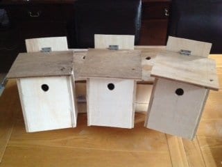 Bird-Boxes-Gîte-Finistere