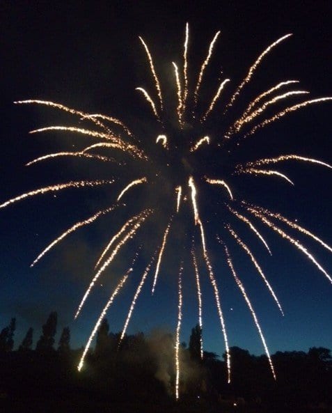 Daolas Firework 1