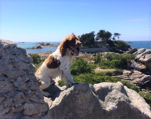 Entrance to the Baie de Morlaix