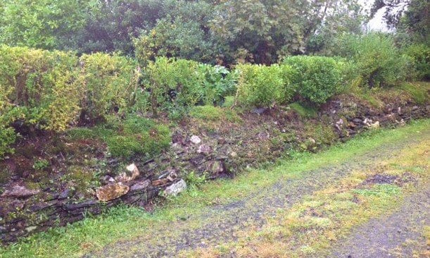 Granary Hedge