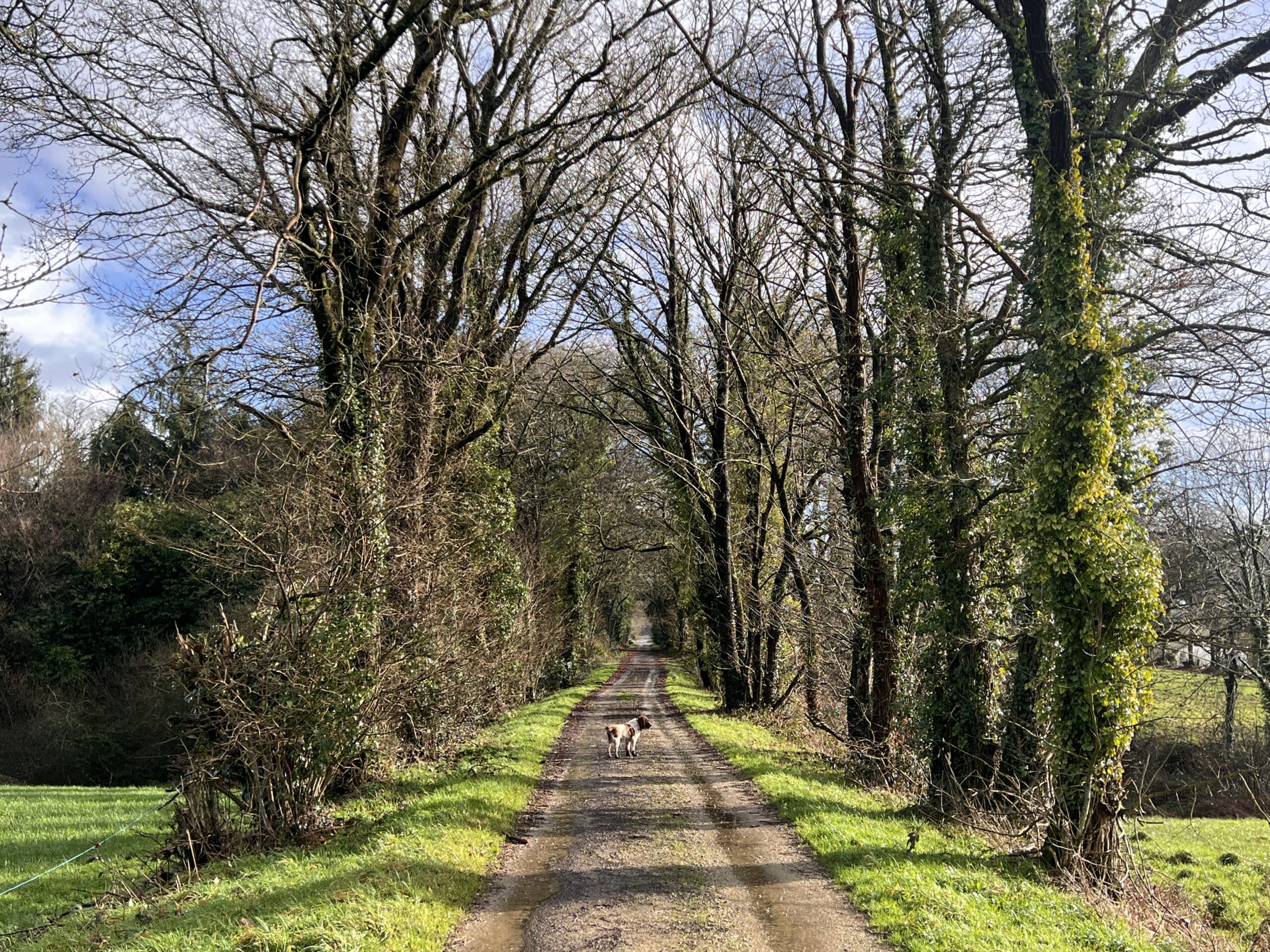 Voie Verte Cycling and Walking Route