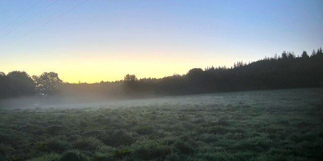 Autumn Mist Autumn Mist