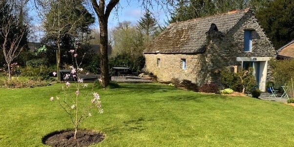 Blyckert Magnolia planted in view of Hayloft