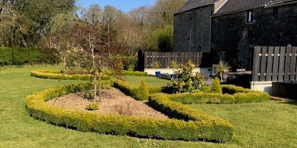 Champignon beds trimmed hedges