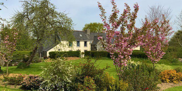 Kergudon's orchard in spring colour