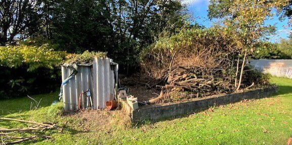 Starting to clear the old potager - is going to take some time 