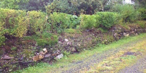 Granary Hedge