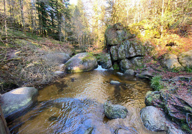 Mare des Sangliers in the Huelgoat forest