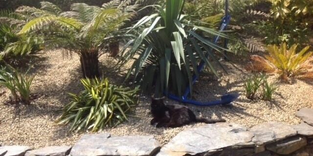 Mouse lounging in the tropical bed