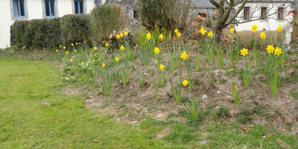 Holiday Cottage in Brittany with local culture Bal des Mutantes