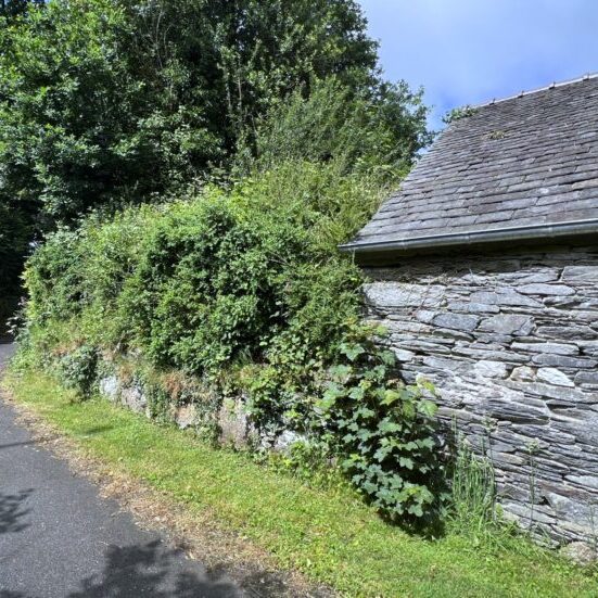 Stable Hent Gorreker hedge