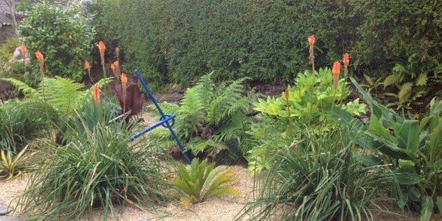 Hedge cutting task underway for 2019!