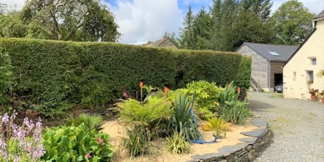 Tropical bed hedges cut