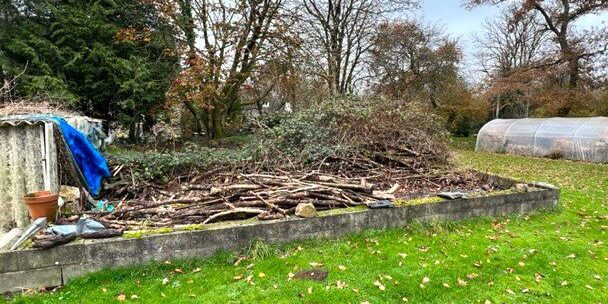 Second attempt at clearing the old veg patch