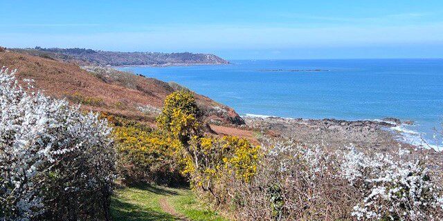 Locquirec Channel View