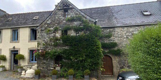 Kergudon's wisteria having had its summer trim 2022