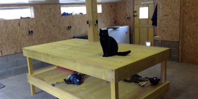 Workbench built in my new man shed