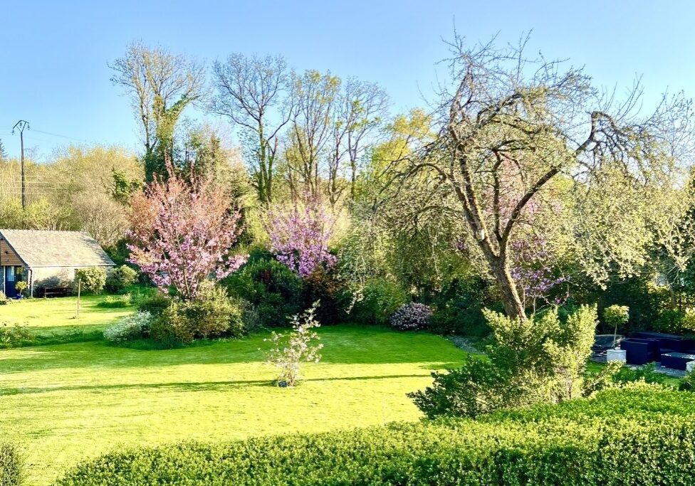 Spring blossom and countryside landscape in North Finistère Brittany